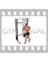 Cable Standing High Cross Triceps Extension