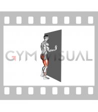 Wall Supported Reverse Lunge (male)