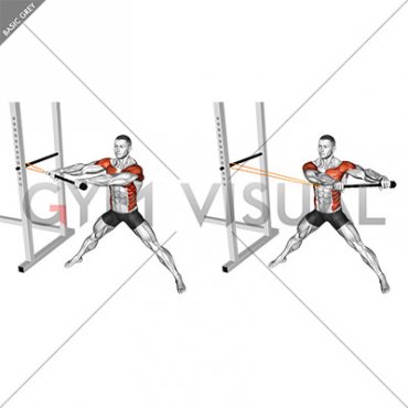 Resistance Band Wide Stance Anti Rotation Chop (male)