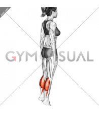 Standing Isometric Hold Calf Raise (female)