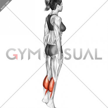 Standing Isometric Hold Calf Raise (female)