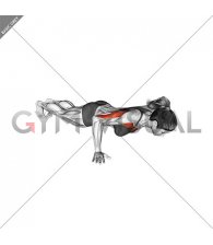 Isometric Hold Wide Hand Push-up (female)