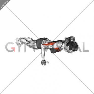 Isometric Hold Wide Hand Push-up (female)