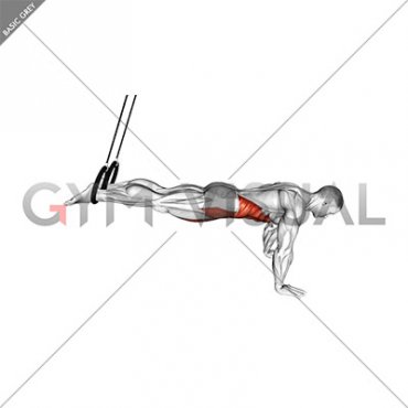 Ring Isometric Hold Reverse Ab Rollout