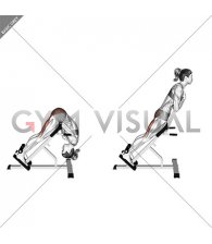 45 Degree Hip Extension Glute Focused (VERSION 2) (female)