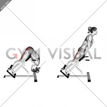 45 Degree Hip Extension Glute Focused (VERSION 2) (female)