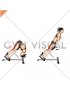 45 Degree Hip Extension Glute Focused (VERSION 2) (female)