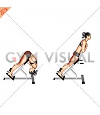 45 Degree Hip Extension Glute Focused (VERSION 2) (female)