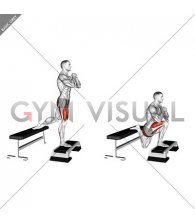 Elevated Split Squat (male)