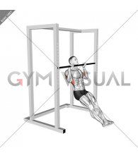 Seated Isometric Hold Pull up