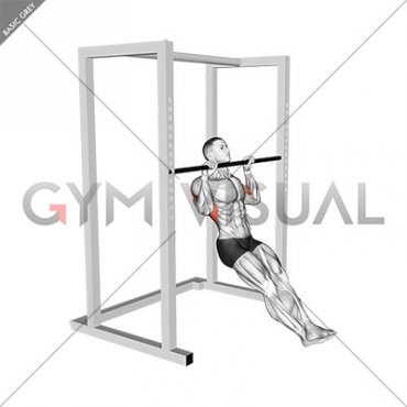 Seated Isometric Hold Pull up