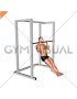 Seated Isometric Hold Pull up