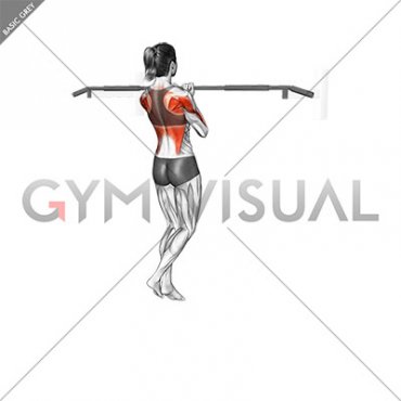 Isometric Hold Close Grip Chin-up (female)