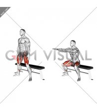 Wide Bench Air Squat (male)