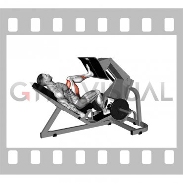 Lever Angled Single Leg Press (male)