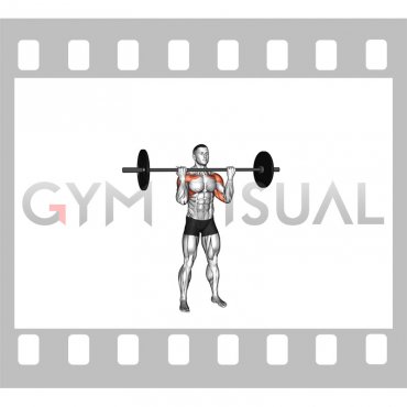 Barbell Reverse Grip Overhead Press (male)