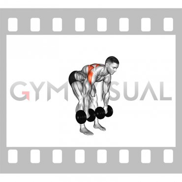 Dumbbell Bent Over Wide Row (male)