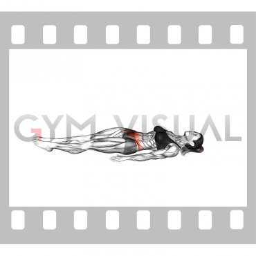 Lying Side Lift free Lateral Flexion (female)