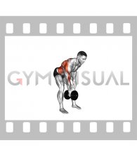 Dumbbell Bent over Twisting Row (male)