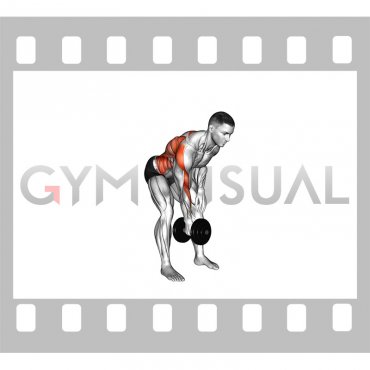 Dumbbell Bent over Twisting Row (male)