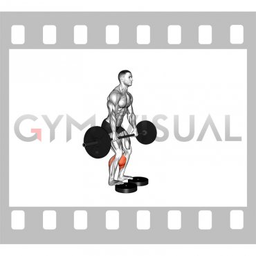 Barbell Standing Bent Knee Calf Raise from Deficit (male)