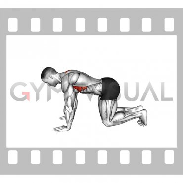 Kneeling Scapular Push-up (male)