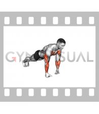 Wrist Full Push-up (male)