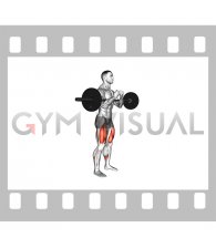 Barbell Zercher Squat Hold