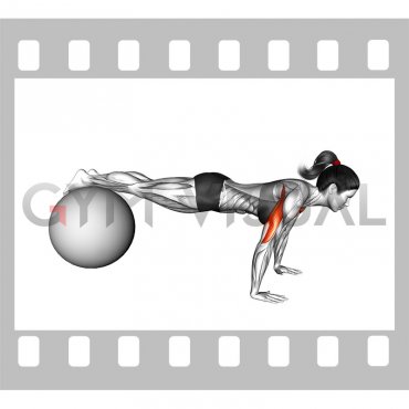 Push-up (on stability ball) (female)