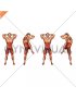 Cross Standing Crunch (male)