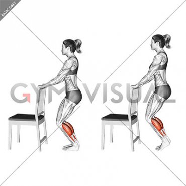 Standing Bent Knee Calf Raise with a Chair Support (female)