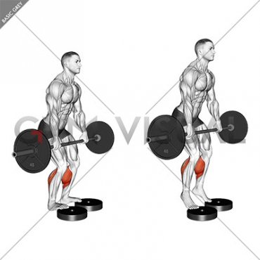 Barbell Standing Bent Knee Calf Raise from Deficit (male)