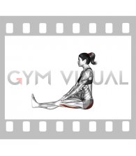 Sitting Single Straight Back Hamstring Lean (female)