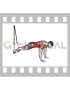 Suspender Pike (male)