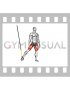 Suspender Side Squat (male)