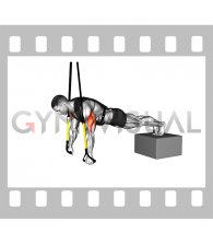 Suspender Weighted Vest Decline Push up