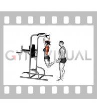 Partner Assisted Pull-up (female)