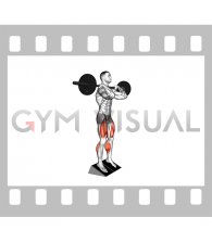 Barbell Elevated Heel Clean Grip Squat
