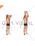 Cable Overhead Triceps Extension (rope attachment)