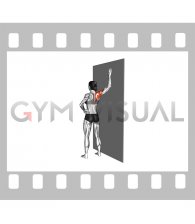 Standing Single Shoulder Stretch Wall Supported (female)