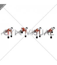 Kettlebell Alternating Renegade Row