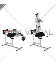 Glute Ham Raise (VERSION 2) (female)