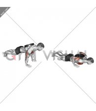 Weighted Plate Push-up (male)