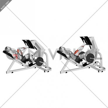 Lever Angled Single Leg Press (male)