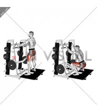 Lever Belt Sumo Squat