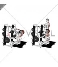 Lever Belt Romanian Deadlift