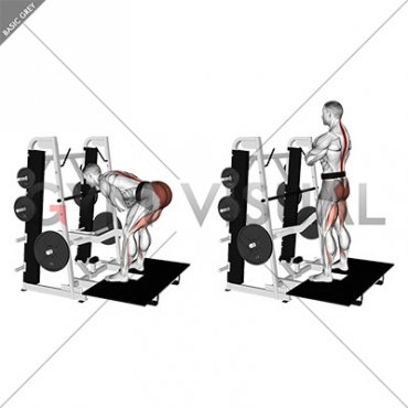 Lever Belt Romanian Deadlift