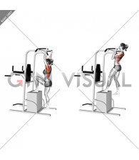 Box Single Leg Assisted Pull-up (female)