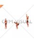 Countermovement Jump Arms Pull (male)