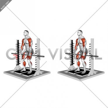 Isometric Mid Thighs Pull (male)